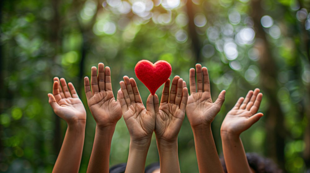 NGO, trust, society registration and CSR support services